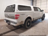 Ford F-150 Platinum 1FTPW14V59FA77689 снимка