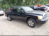 Dodge Dakota Slt 1D7HW48K76S507673 снимка