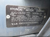 Hyundai Santa Fe 2.7L V6 Gls/2.7L V6 Lx KM8SC83D91U009945 fotografie