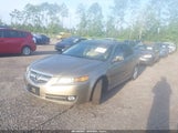 Acura Tl 3.2 19UUA66228A040260 снимка