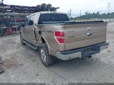 Ford F-150 Lariat 1FTFW1ET3DKD60830 снимка