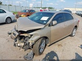 Toyota Corolla Le 2T1BU4EE1CC811440 fotografie