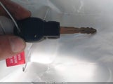 Miniaturka zdjęcia 11