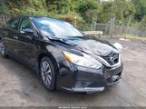 Nissan Altima 2.5 Sl 1N4AL3AP7GC110941 photo