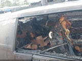 Cadillac Eldorado 1G6EL5789FE668898 снимка