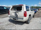 Cadillac Escalade Standard 1GYS3AEF2BR305494 fotografie