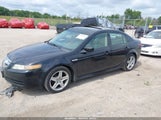Acura Tl 19UUA66235A061162 снимка