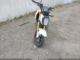 Miniaturka zdjęcia 5