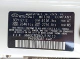 Hyundai Genesis 3.8 KMHGC4DD6DU215113 снимка