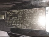 Kia Forte Ex KNAFU4A24D5653040 снимка