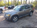 Ford Escape Xlt 1FMCU03G79KA26733 снимка