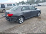 Toyota Corolla Xle JTDBL40E69J045292 снимка