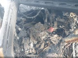 Chevrolet Camaro Rwd Lt1 1G1FF1R7XM0131708 photo