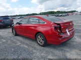 Hyundai Sonata Se 5NPE24AF8HH509262 снимка