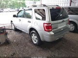 Ford Escape Xlt 1FMCU9DG7BKB09247 снимка