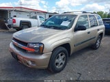 Chevrolet Trailblazer Ls 1GNDT13S242246478 снимка