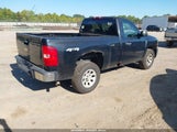 Chevrolet Silverado  Work Truck 1GCEK14X07Z621046 fotografie
