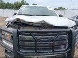 Ford F-150 Xlt 1FTEW1E55KKC40201 снимка