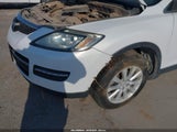Mazda Cx-9 JM3TB28A490173251 fotografie