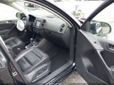 Volkswagen Tiguan 2.0T Sport WVGTV7AX3HW508714 fotografie