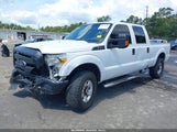 Ford F-250 Xl 1FT7W2B69EEA55308 снимка