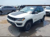 Jeep Compass Trailhawk 4X4 3C4NJDDB8LT163069 снимка