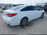 Hyundai Sonata Sport 5NPE34AF3FH082793 photo
