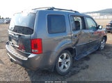 Honda Pilot Ex-L 5FNYF4H59DB003530 снимка