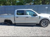 Ford F-150 Stx 1FTEW2LP3RKE20989 fotografie