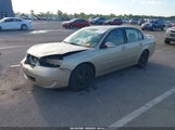 Chevrolet Malibu Lt 1G1ZT53896F102683 photo