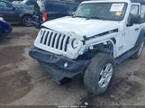 Jeep Wrangler Sport S 4X4 1C4GJXAN3LW121976 fotografie