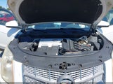 Cadillac Srx Luxury Collection 3GYFNAEY5AS573304 снимка