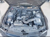 Ford Mustang V6 Deluxe/V6 Premium 1ZVHT84N575330273 fotografie
