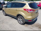 Ford Escape Titanium 1FMCU0J93FUA86089 fotografie
