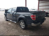 Ford F-150 Fx4/Harley-Davidson/King Ranch/Lariat/Platinum/Xl/Xlt 1FTFW1EV0AFA48289 fotografie