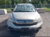 Honda Cr-V Ex JHLRE48567C060134 снимка