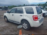 Ford Escape Xlt 1FMCU0DG9BKA67983 fotografie