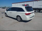 Honda Odyssey Ex-L 5FNRL5H6XEB036811 снимка