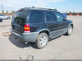 Ford Escape Xlt 1FMYU93134KB62405 снимка