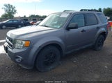 Ford Escape Xlt 1FMCU93ZX8KA26827 снимка