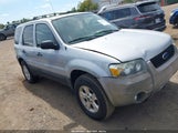 Ford Escape Xlt 1FMYU03Z97KB19449 снимка