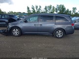 Honda Odyssey Ex-L 5FNRL5H6XFB037491 снимка