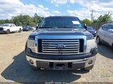 Ford F-150 Fx4/Harley-Davidson/King Ranch/Lariat/Platinum/Xl/Xlt 1FTFW1EV1AFA41366 fotografie