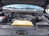 Ford F-150 Xlt 1FTEW1EP6LFC26917 снимка