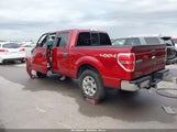 Ford F-150 Xlt 1FTFW1ET9EKF22428 снимка