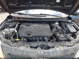 Toyota Corolla Le 1NXBU40E59Z131586 снимка