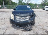 Cadillac Srx Standard 3GYFNGE31CS518813 снимка