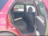 Ford Escape Xlt 1FMCU93G09KB28427 снимка