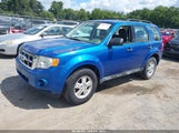 Ford Escape Xls 1FMCU0C79CKB75961 fotografie
