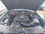 Ford Mustang Gt Premium 1ZVBP8CF7B5154873 снимка
